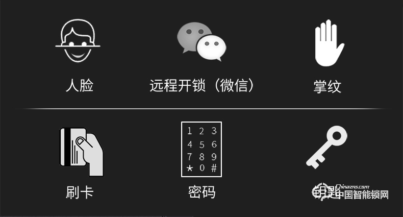 浩宇兴智能锁 人脸识别锁家用防盗门锁智能锁